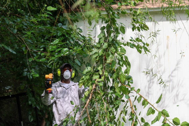 Best Tree Maintenance Programs  in Muskego, WI